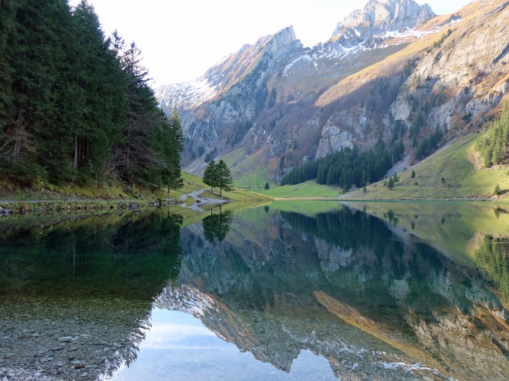 Steckenberg und Altenalp Türm