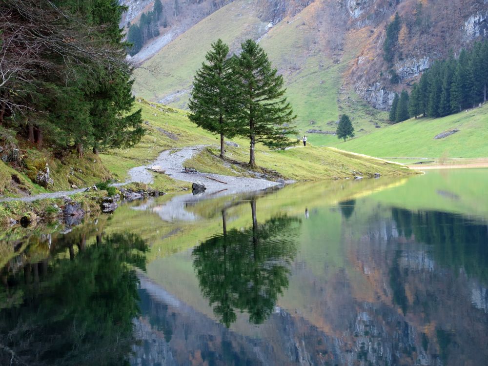 Bäume spiegeln sich im Seealpsee