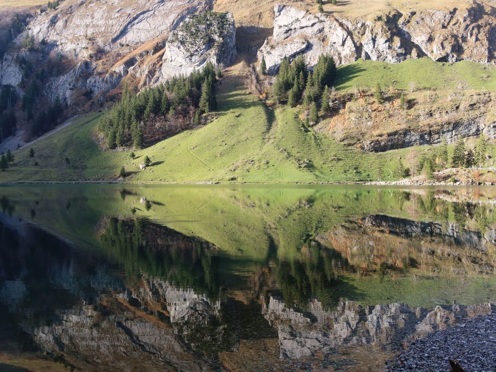 Spiegelung am Nordufer