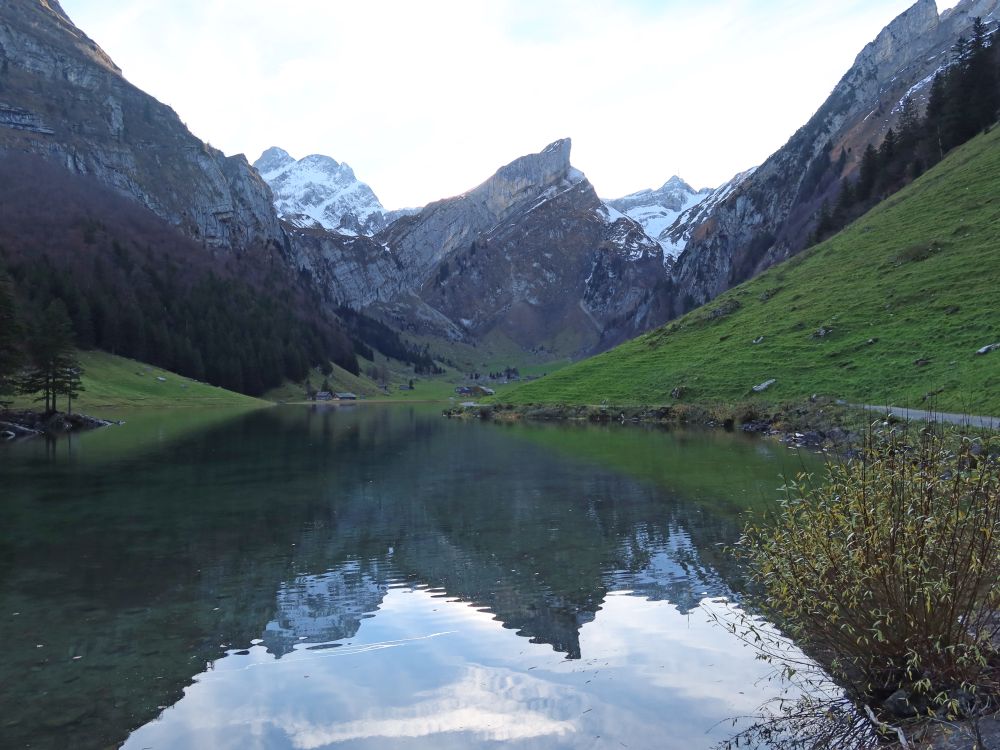 Rossmad im Seealpsee