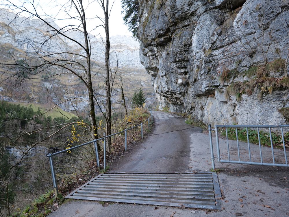 Viehgitter bei Chobel