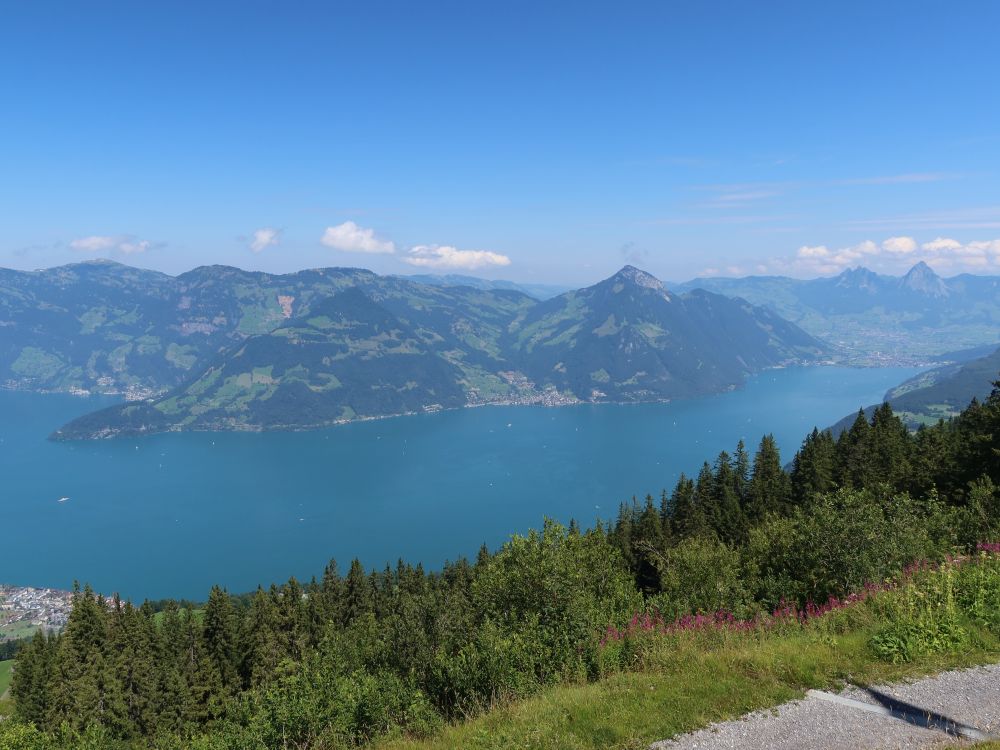 Vitznauerstock und Rigi Hochflue