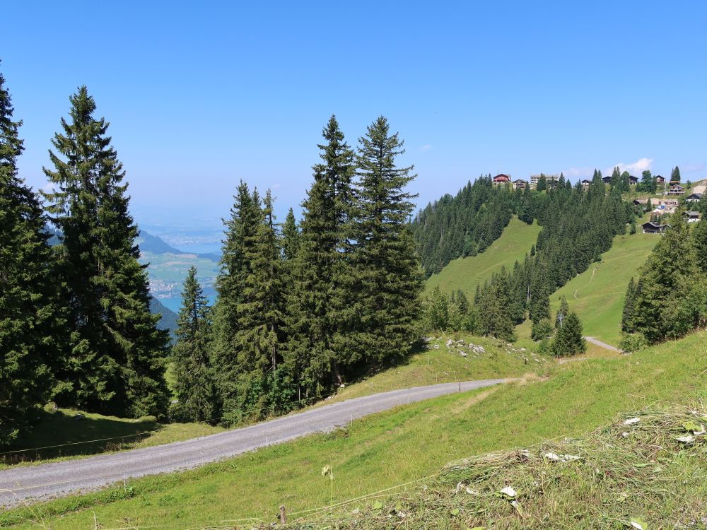 Blick Richtung Klewenalp (re)