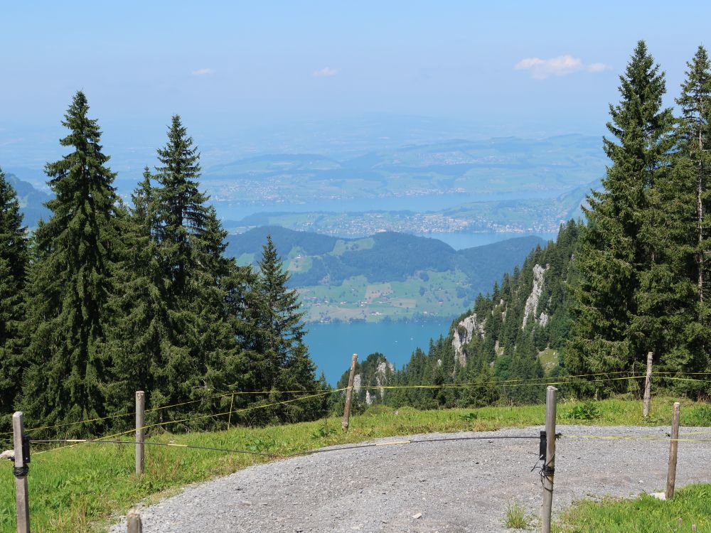 Bürgenstock zwischen den Bäumen