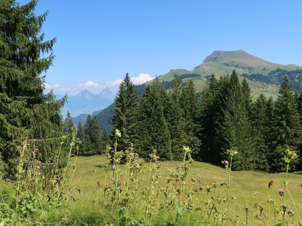 Niderbauen und Mythen im Hintergrund