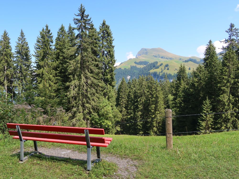 Sitzbank mit Niderbauen