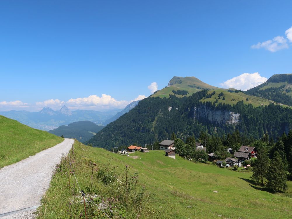 Stockalp und Niderbauen