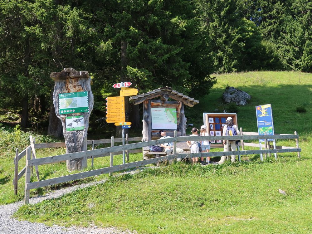 Feuerstelle Wintergarten