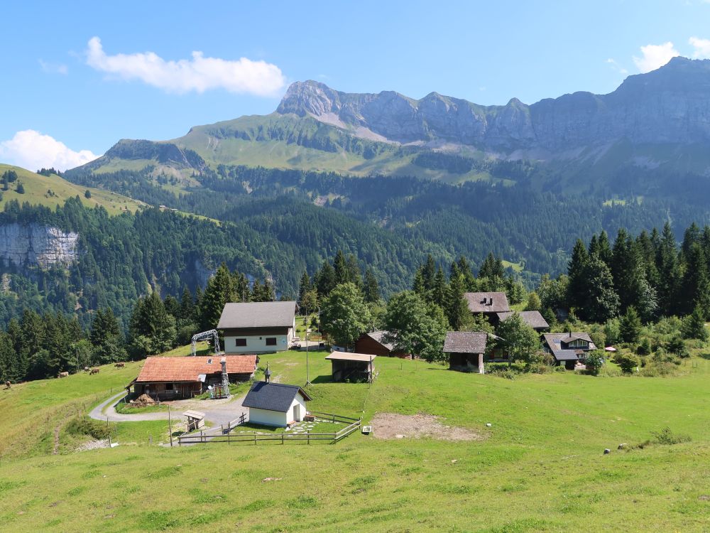 Chäppelihütte und Oberbauenstock