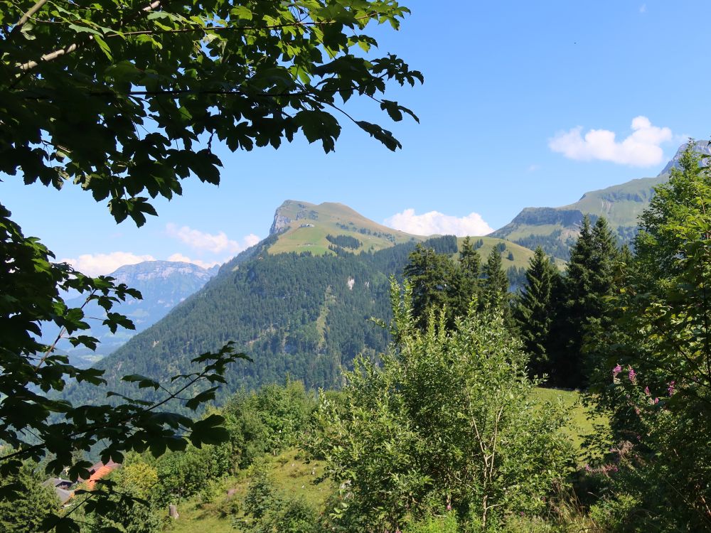 Niderbauen