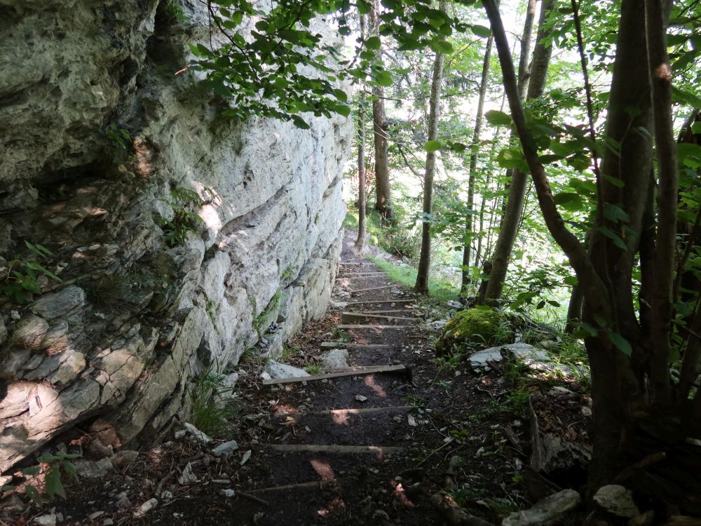 Treppe am Fels