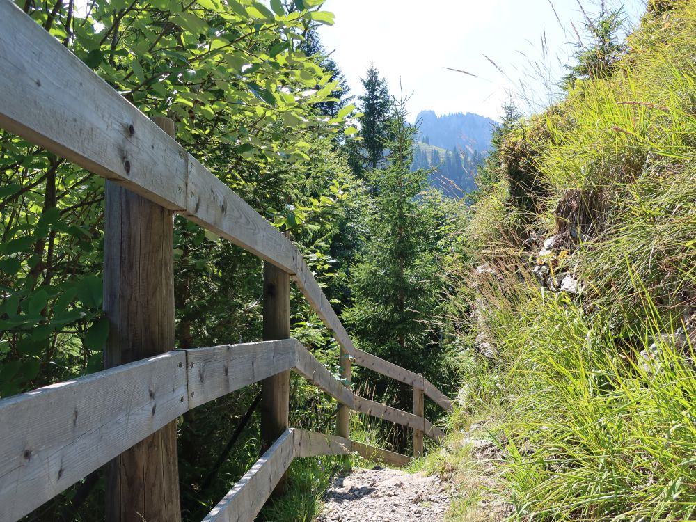 Bergpfad am Stock