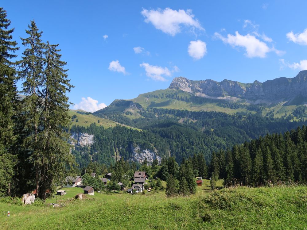 Blick Richtung Oberbauenstock