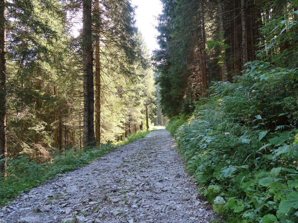 Oberen Holzweg