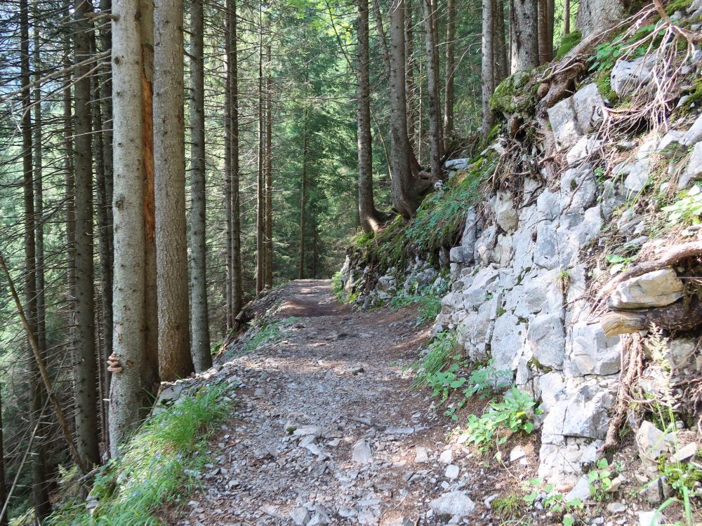Bergweg