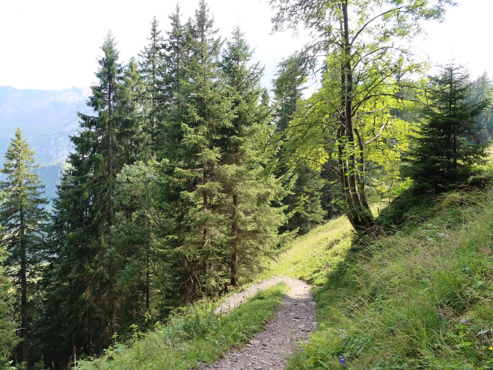 Bergweg