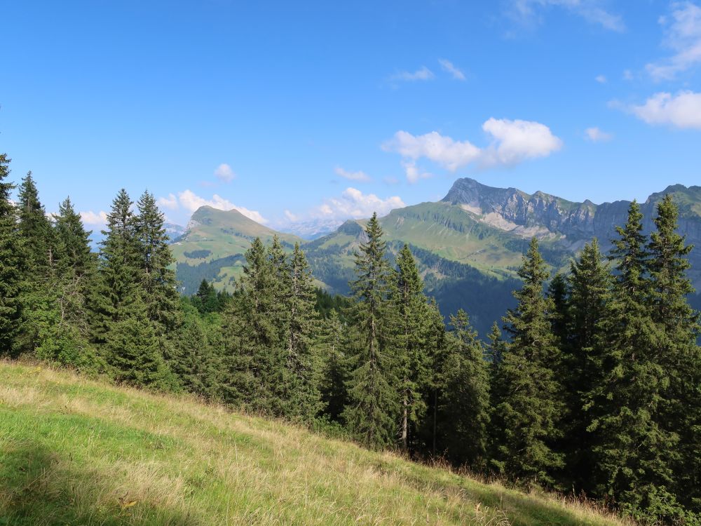 Niderbauen und Oberbauenstock