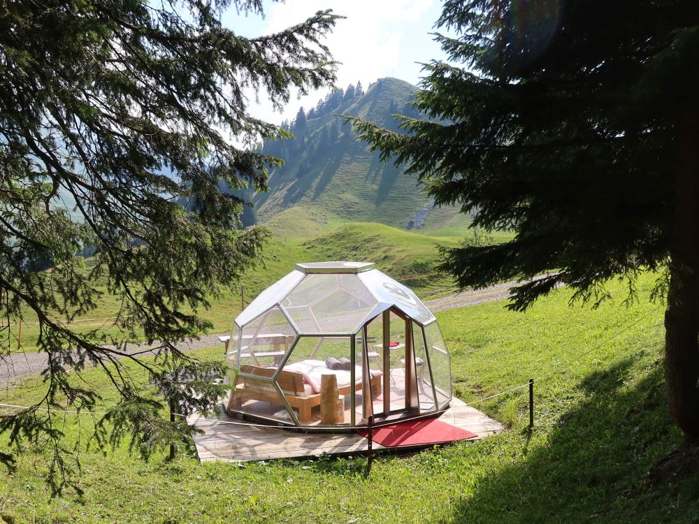 Bubble-Suite