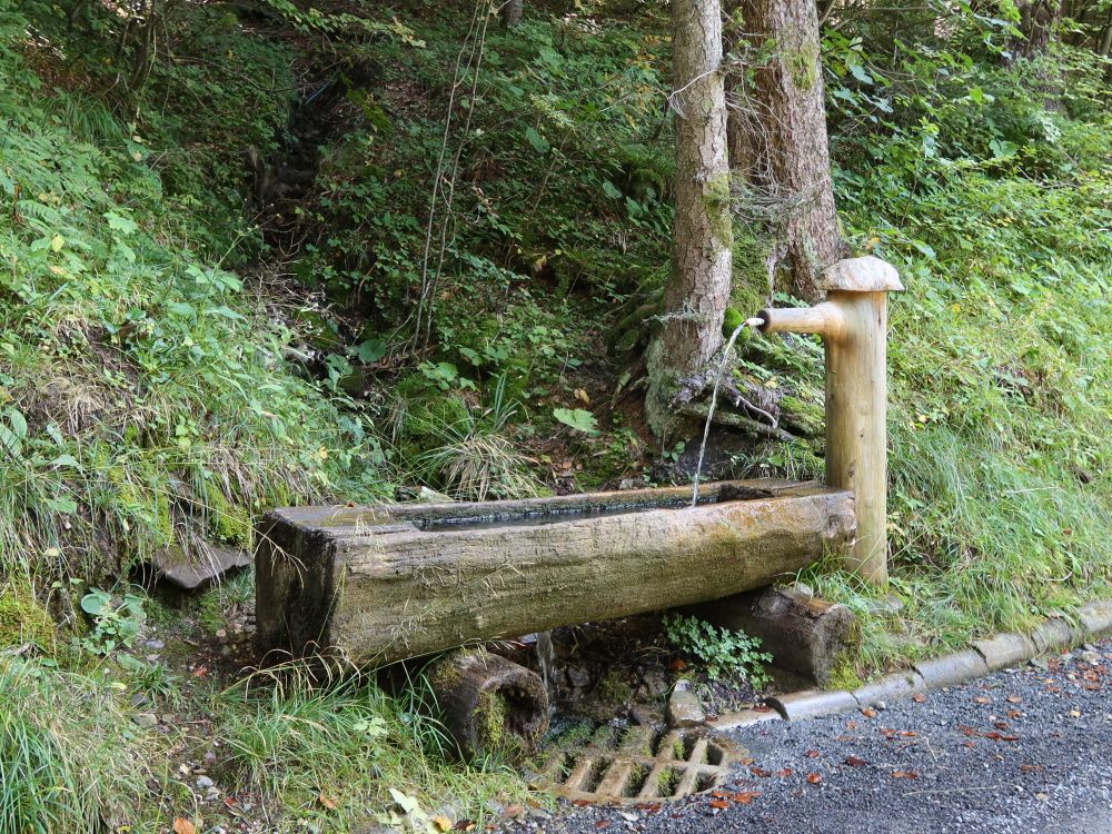Brunnen