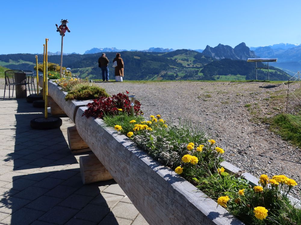 Blumenkübel und Mythen