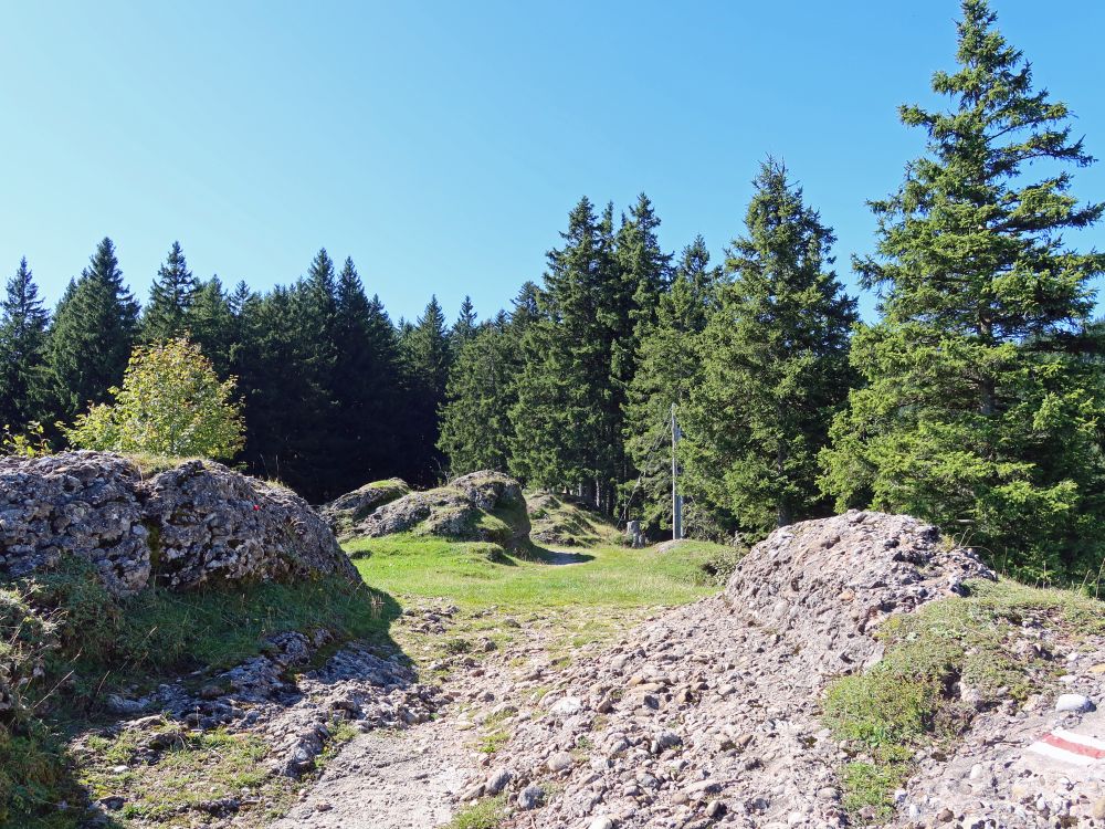 Nagelfluh bei Halsegg