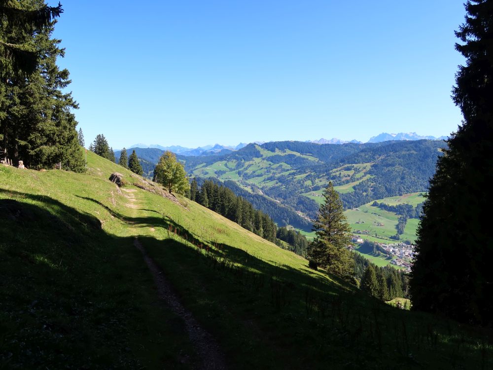 Schwantenringweg