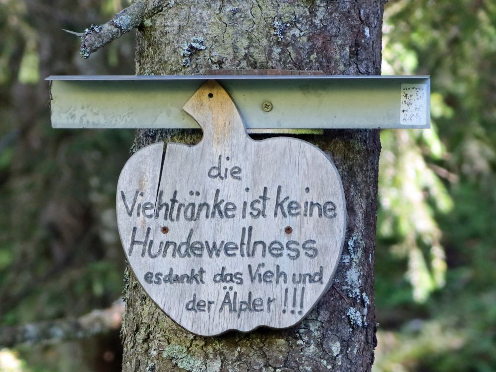 Badeverbot für Hunde