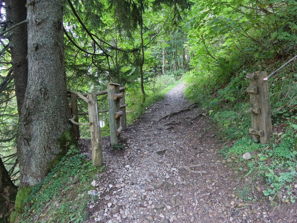 Waldweg