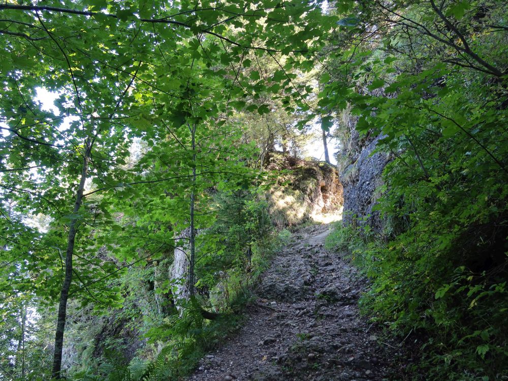 Pfad zwischen Felsen