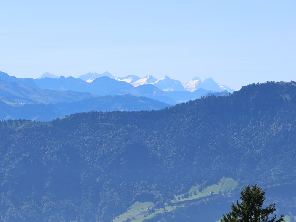 Berner Alpen am Horizont