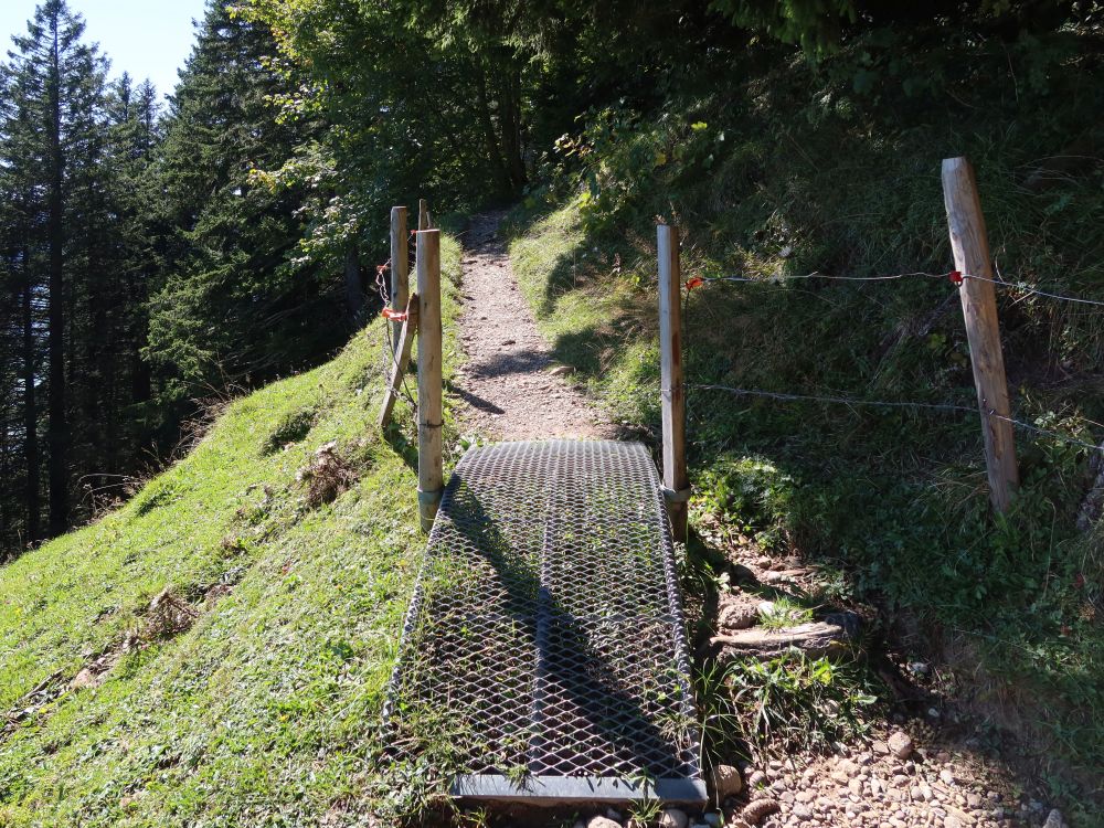 Bergpfad