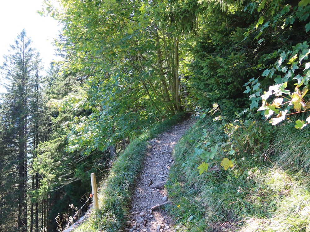 Bergpfad