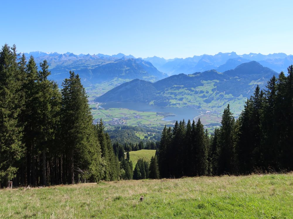 Fronalpstock, Brunniberg, Rigi Hochflue u.a.