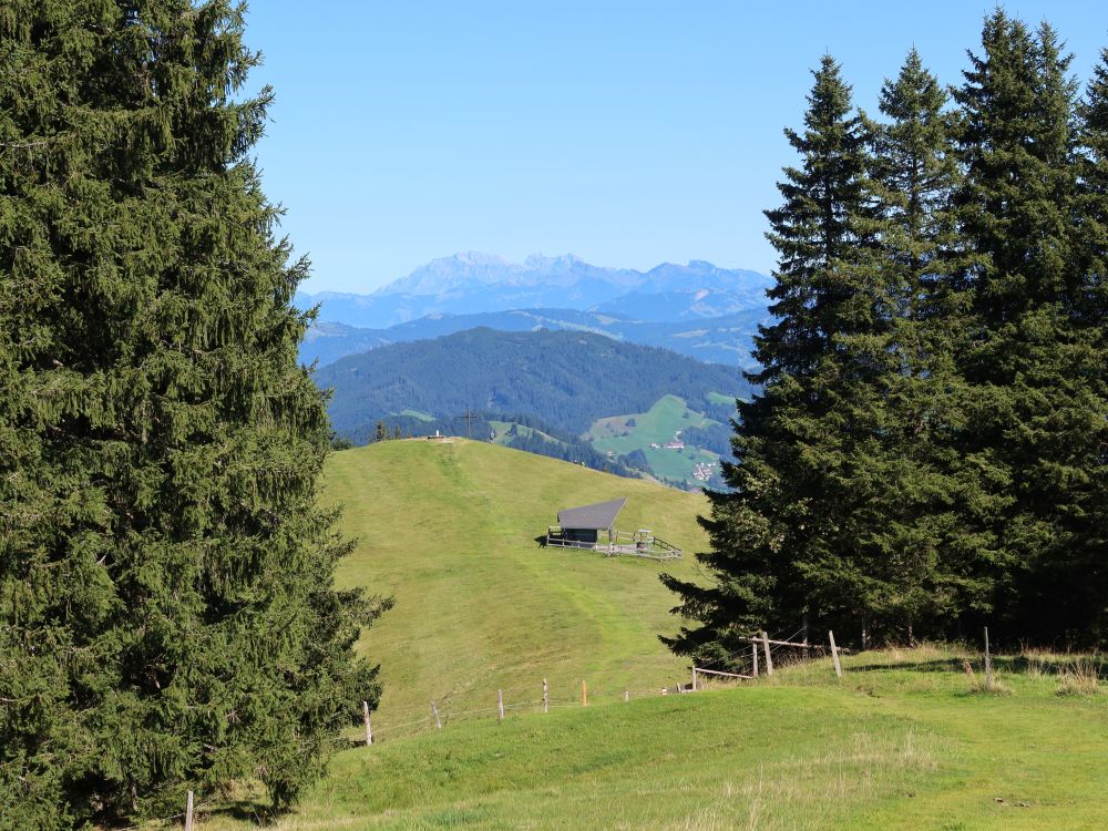 Langmatt mit Säntis am Horizont