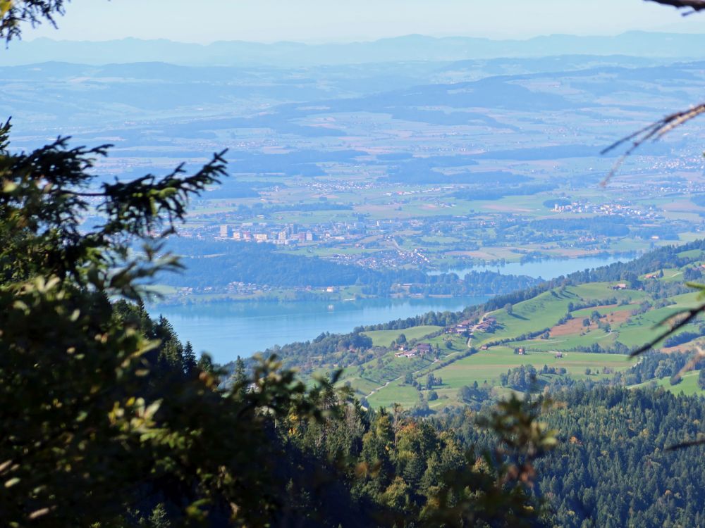 Blick Richtung Zugersee