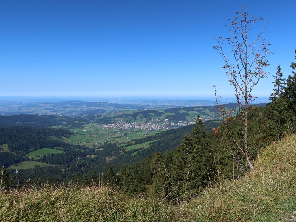 Blick Richtung Unterägeri