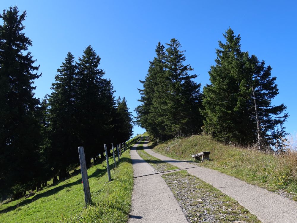 Wildspitzstrasse
