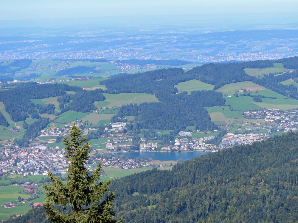 Blick Richtung Unterägeri