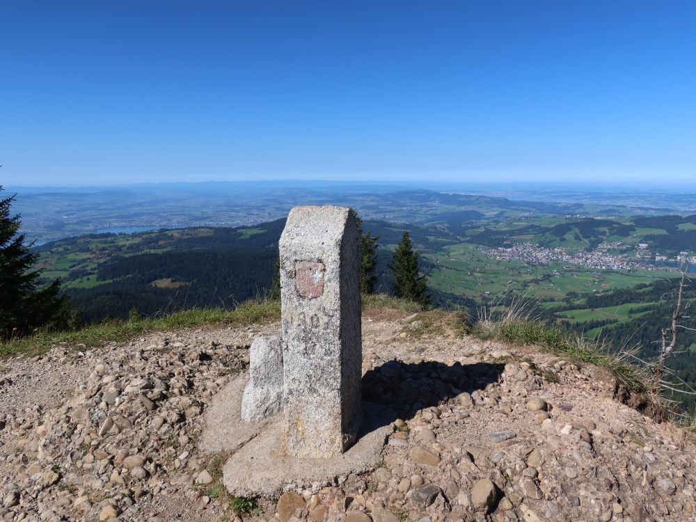 Grenzstein Zug - Schwyz