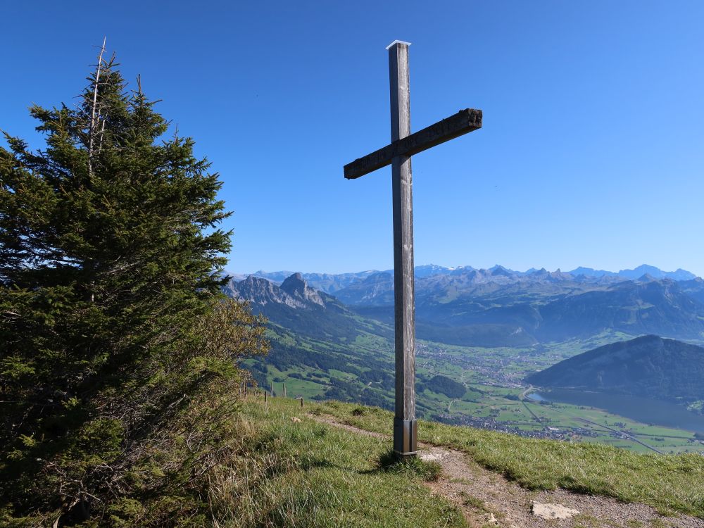 Gipfelkreuz Wildspitz