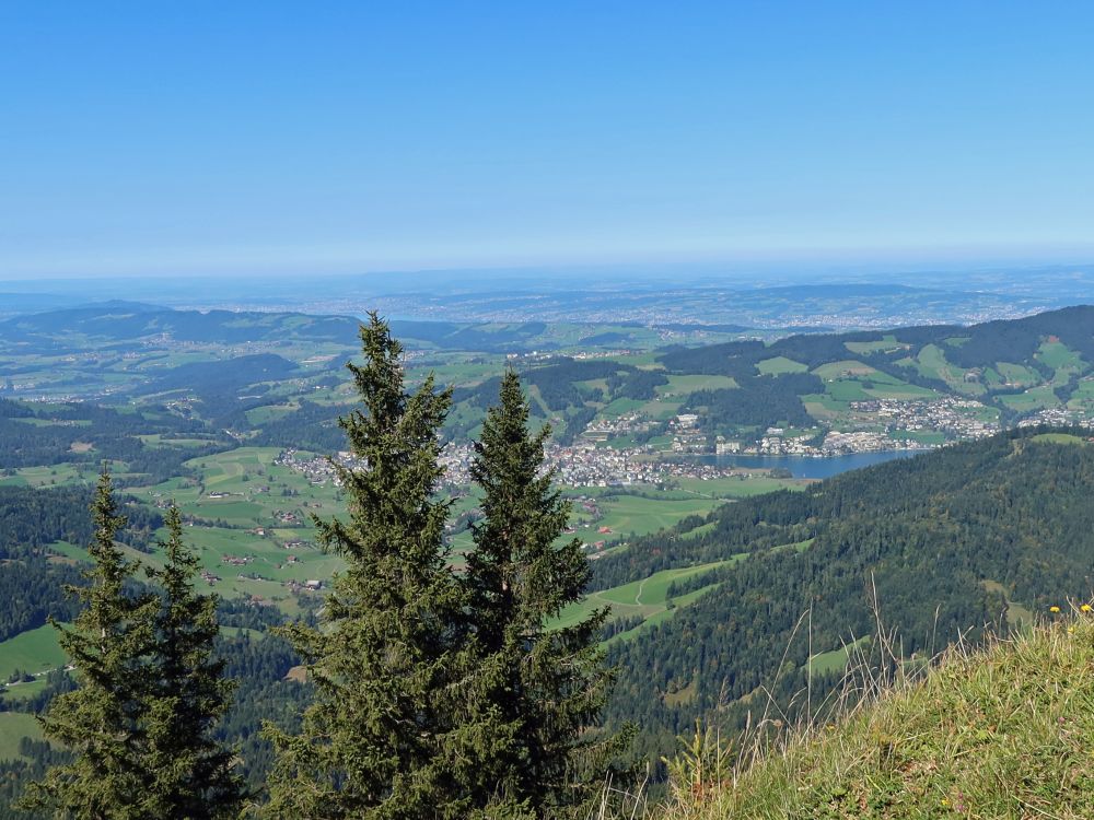 Unterägeri und Zürichsee im Hintergrund