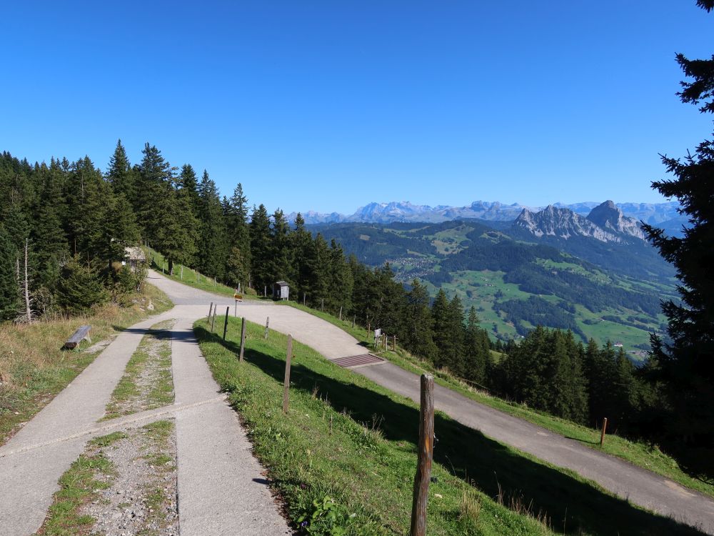 Wildspitzstrasse