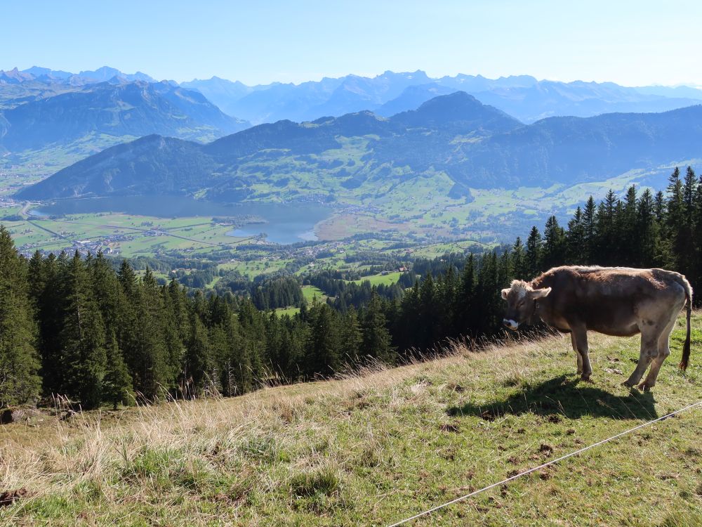 Fronalpstock, Brunniberg, Rigi Hochflue u.a.