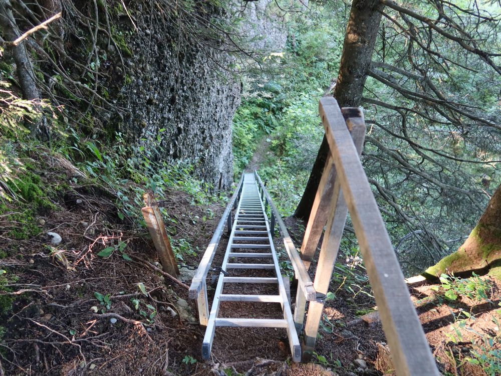 Leiter an der Leiterfluh