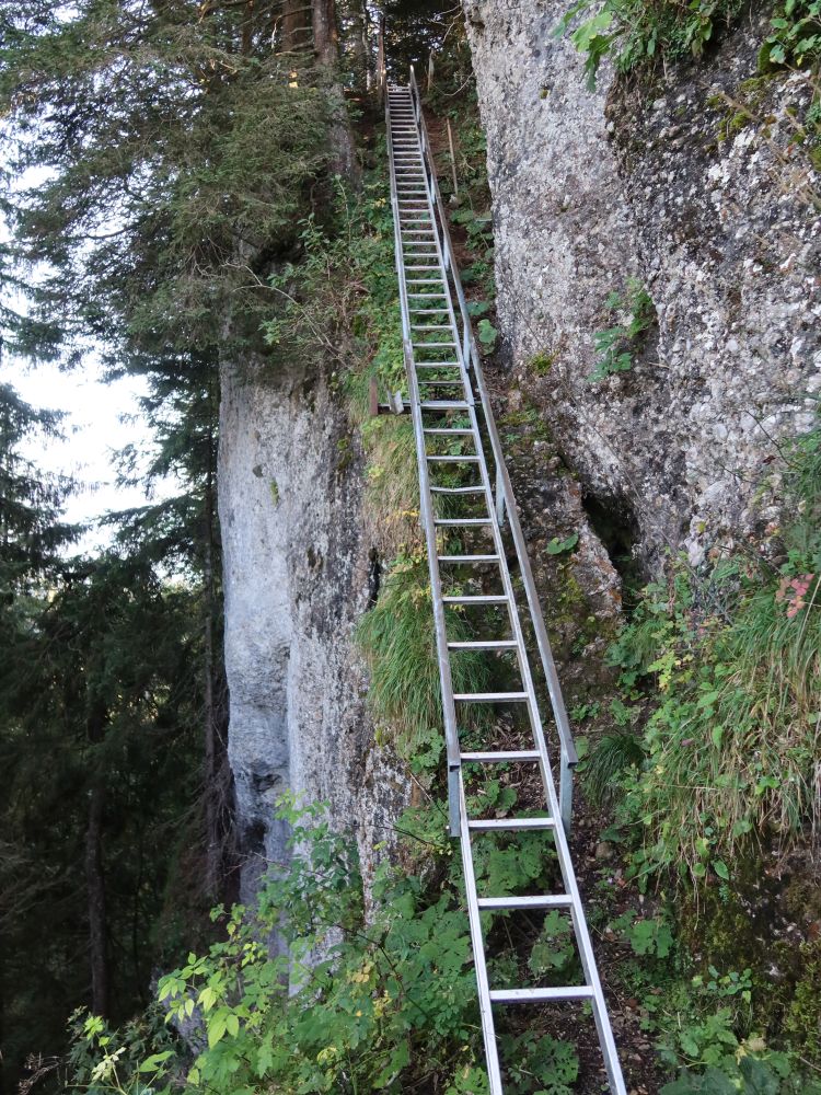 Leiter an der Leiterfluh