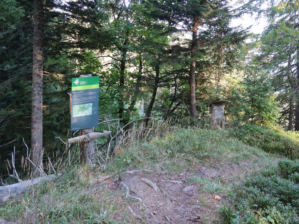 Türlistock