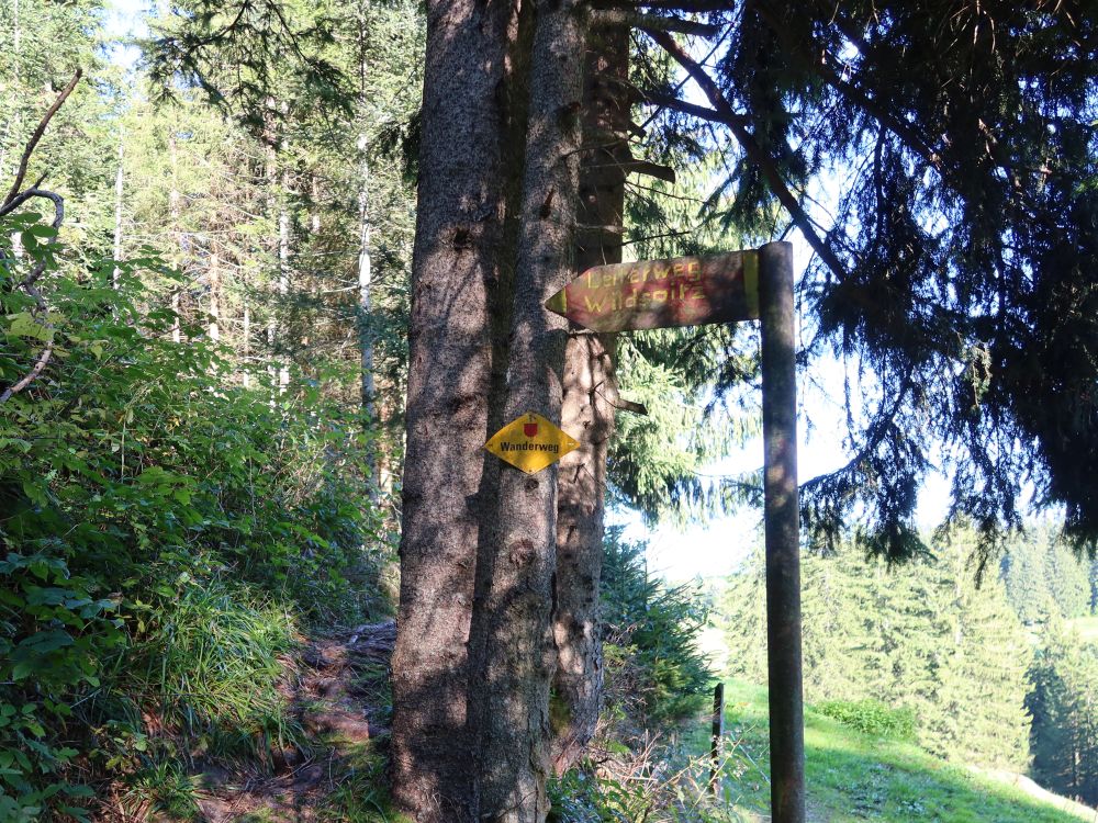 Wegweiser Leiterweg