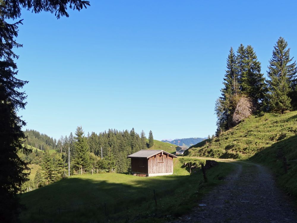 Schweizer Dufour Museum