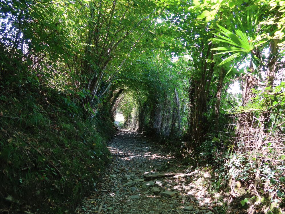 Wanderweg