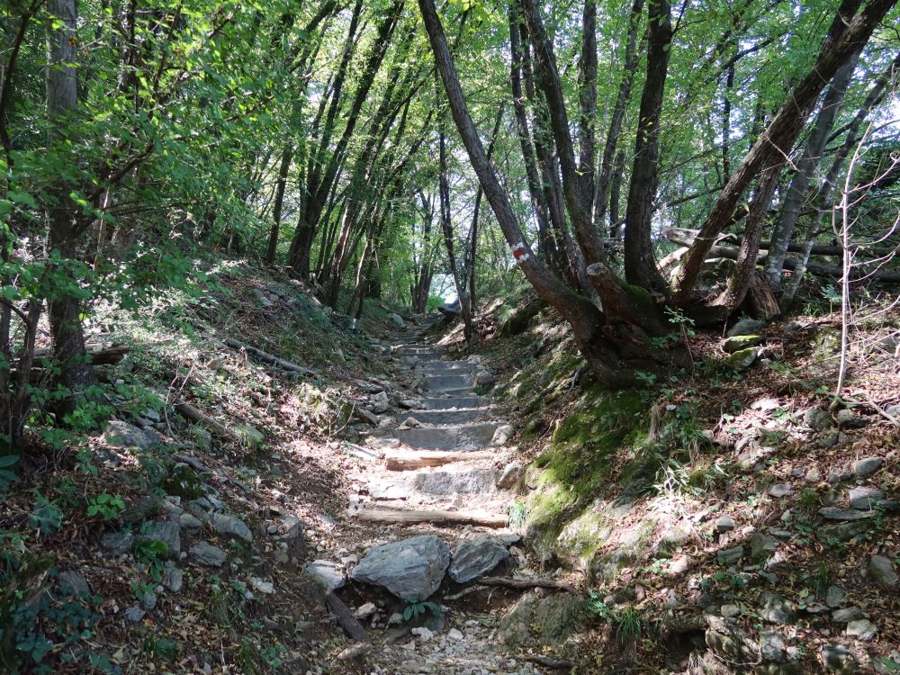 Treppe am Monte San Salvatore